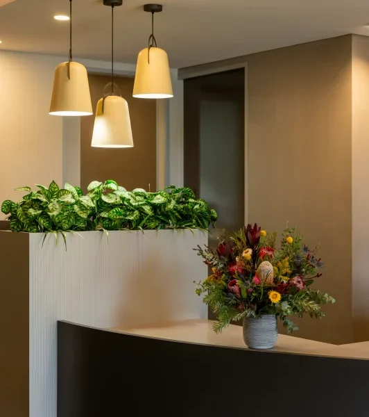 riverview dental reception riverview dental shepparton vic 199